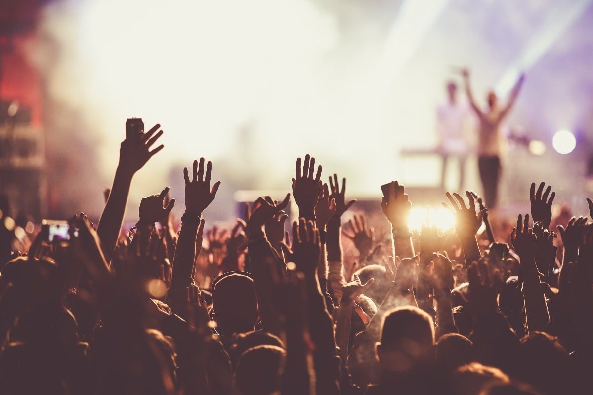 Feierndes Publikum bei einem Sommer-Musikfestival